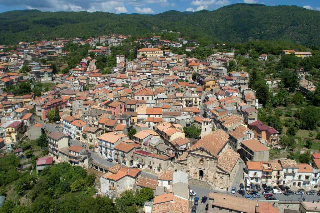 petrona