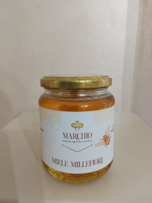 Miele millefiori da 500 gr